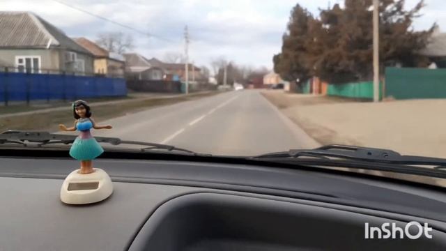 Стрижка пуделя.#красота #тойпудель #собакадругчеловека смотреть онлайн