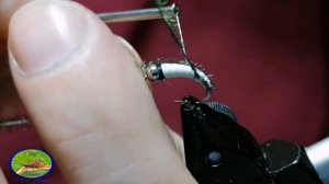 Мушка из Poly Rib с пером павлина.                 777с7d_fisherman