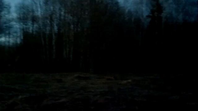 20 калибр, ВАЛЬДШНЕП!)))