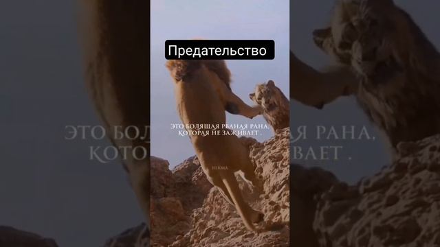 Что такое предательство? смотреть онлайн