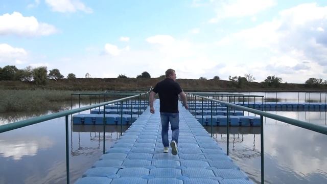 Медитативный отдых в Абинске. Животные в естественной среде обитания и лесная прогулка вдоль озера смотреть онлайн