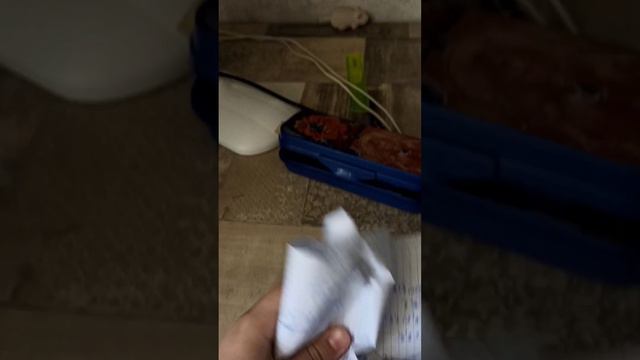 Типичная ситуация когда получил двойку с минусом в последний день учёбы. смотреть онлайн