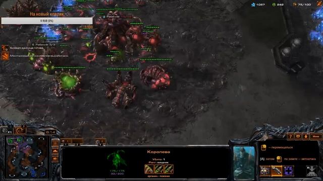 StarCraft 2 Тренировка ZerG смотреть онлайн