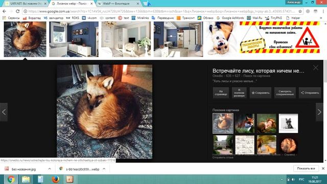 Как перевести картинку Webp в JPEG