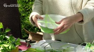 Мастер-класс «Флористика для начинающих»