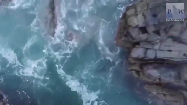 ЛУННЫЙ КАЛЕНДАРЬ НА 1 АПРЕЛЯ 2022 ГОДА. ОБЩИЕ РЕКОМЕНДАЦИИ ДЛЯ ВСЕХ ЗНАКОВ ЗОДИАКА смотреть онлайн