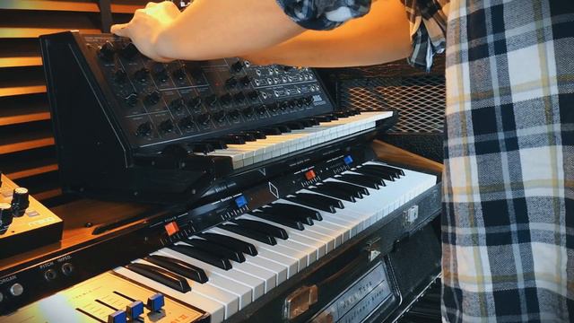 Synth jam with Korg MS-20, Logan String Melody II and Arturia DrumBrute смотреть онлайн