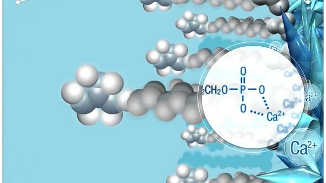 Kuraray MDP Adhesive Monomer