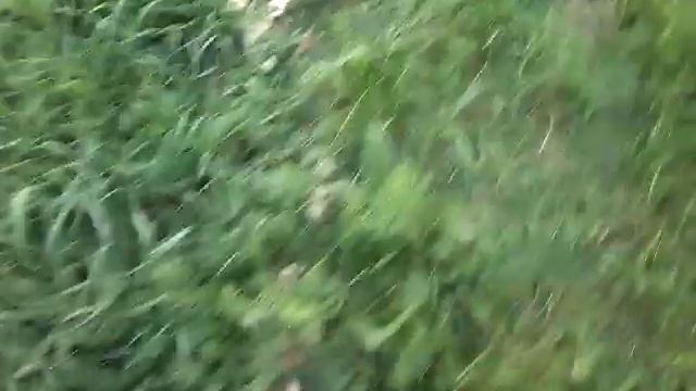 Ведьма круг смотреть онлайн