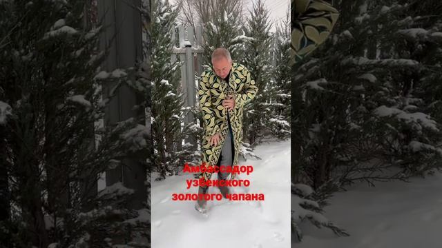 Амбассадор узбекского золотого чапана смотреть онлайн