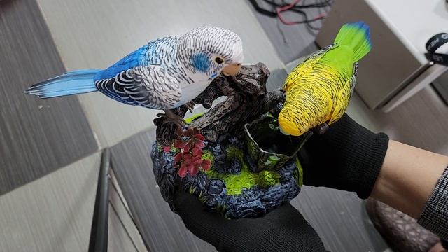 xả kho đồ gia dụng nhật 0944562385 смотреть онлайн