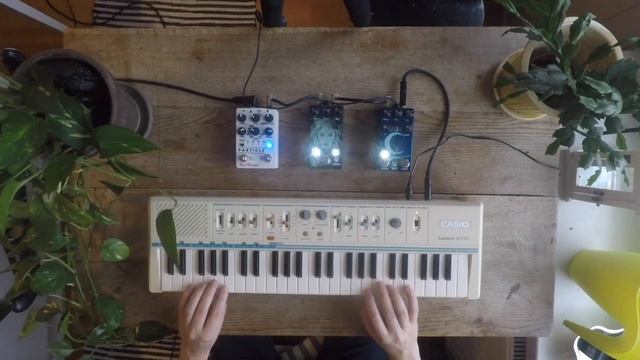 Casio MT-45 + effects pedals [Walrus "SLÖ", "JULIA" & Red Panda "PARTICLE"] смотреть онлайн