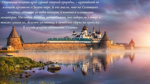Онлайн – презентация «Любить свою Родину – значит знать её» смотреть онлайн