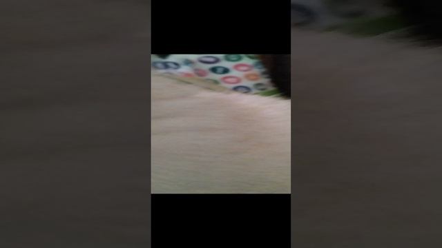 1000000163.mp4 смотреть онлайн