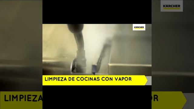 Vaporizador profesional SG 4/4 marca Karcher смотреть онлайн