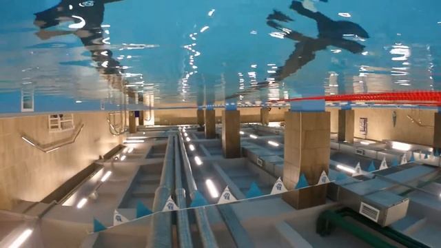 OLYMPUS STYLUS TG-TRACKER подводная съёмка, экшн камера на поплавке смотреть онлайн