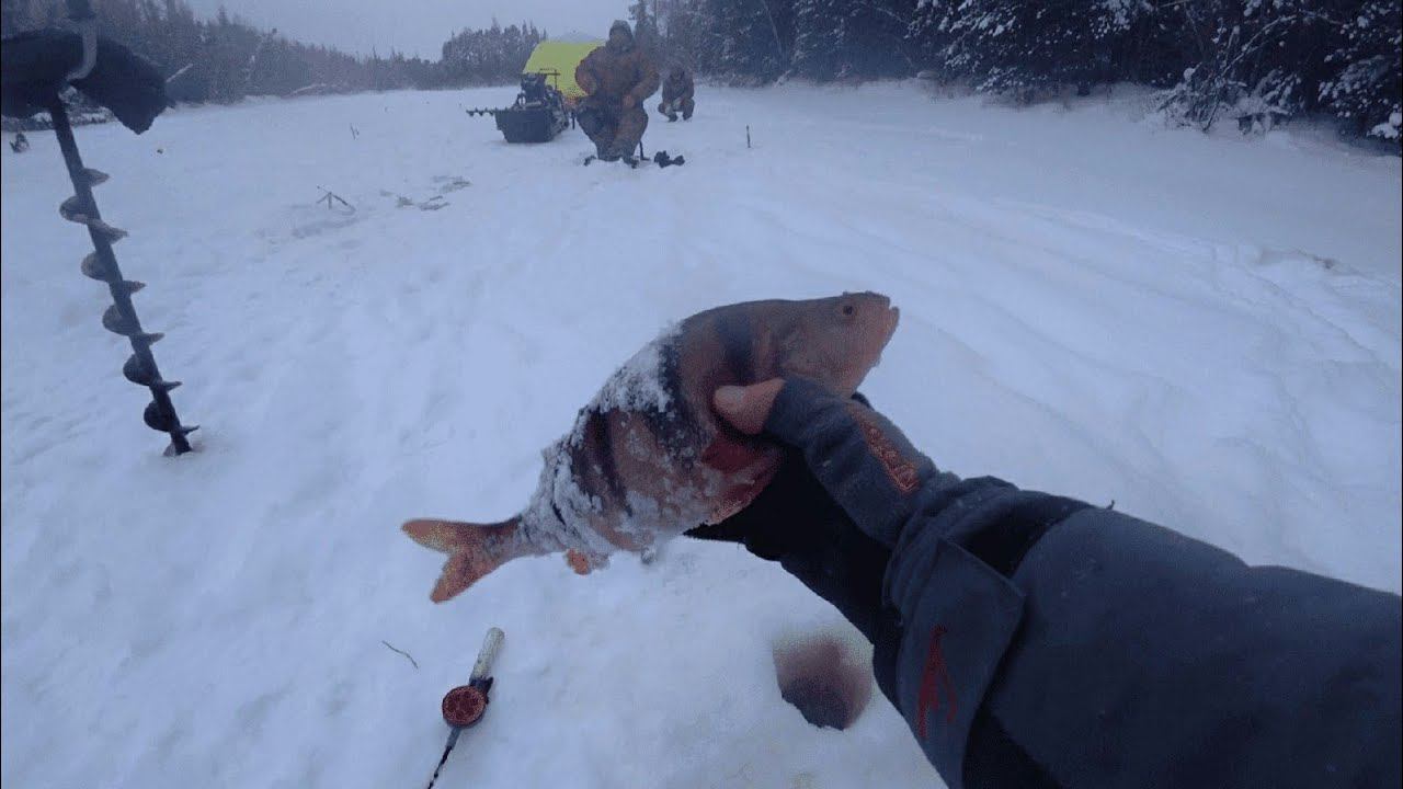 Я УЖЕ ДУМАЛ ОПОЗДАЛИ НА КЛЕВ НО ВОТ ОН УДАР В РУКУ.ВЕЧЕР И НОЧЬ НА РЕКЕ ЕТЫ - ПУР. ОКУНЬ,ЯЗЬ,НАЛИМ. смотреть онлайн