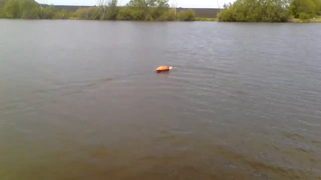 Прикормочный кораблик NITRO CARP. г. Воронеж тест на воде "МАЛОЙ" видео 1 смотреть онлайн