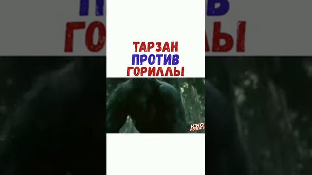 Тарзан вернулся в джунгли и увидел своих братьев горилл смотреть онлайн