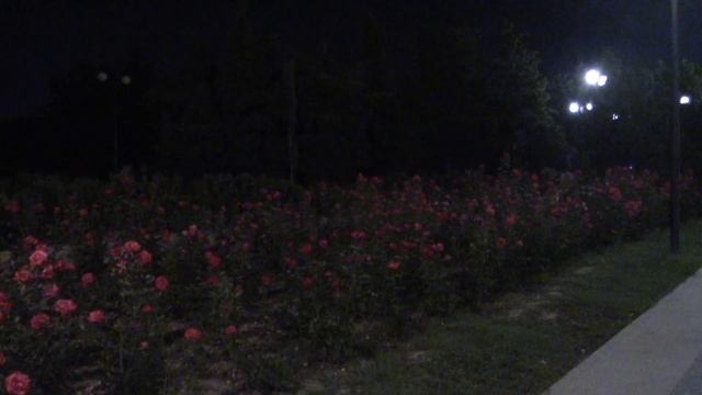 Прогулка по вечернему Севастополю.mp4 2021г. смотреть онлайн