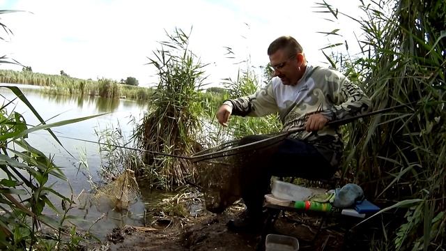 Замешал прикормку как хлеб и наловил карася на удочку. Ловля карася на поплавочную удочку летом смотреть онлайн