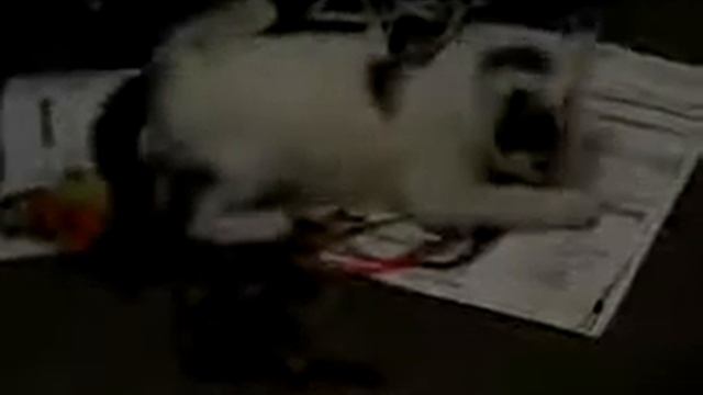 patch 1 loves ribbon смотреть онлайн