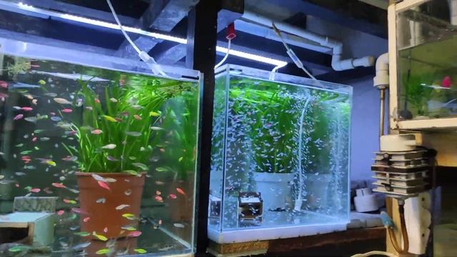 +65 кг стекла и море заготовок... смотреть онлайн