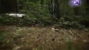 Нечисть | Оборотни (2015)