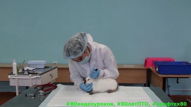 Мастер-класс по компетенции 