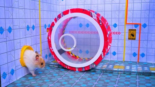 ? Хомяк сбегает из Лунного лабиринта ? Хомура Хам Питомцы смотреть онлайн