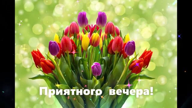 Приятного вечера Мила Нитич Мечта смотреть онлайн