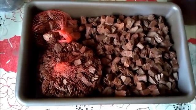 Как предотвратить появление плесени на коре в орхидейном горшке смотреть онлайн