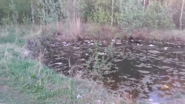 Охота на утку смотреть онлайн