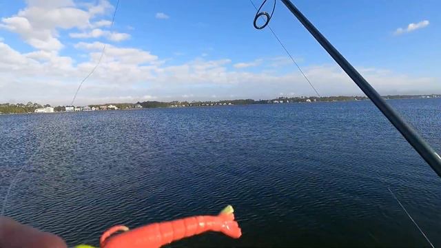 I CAUGHT My Bait Shrimp With A COKE BOTTLE TRAP! *Catch, Clean and Cook* смотреть онлайн