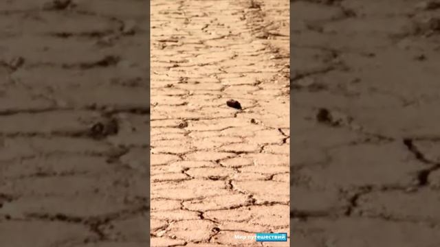 Долина Смерти национальный парк и движущиеся камни. Штате Калифорния, США #shorts смотреть онлайн