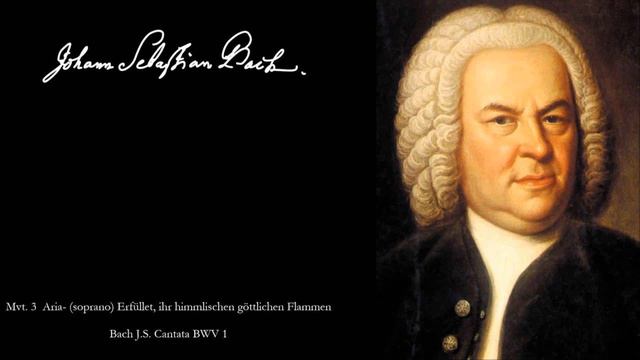 JS Bach - Sonatas for Violin and Harpsichord No 1 in B minor - BWV 1014 - FL20. смотреть онлайн