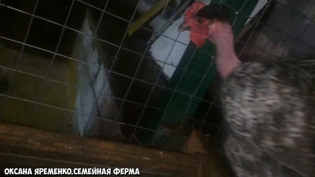 Влог от 08.11.20 / Наконец-то дождалась! смотреть онлайн