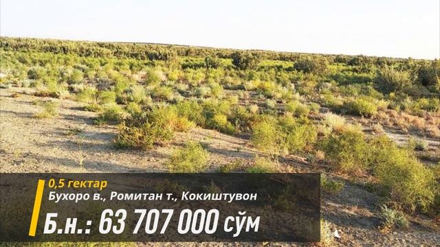 Тадбиркорлик учун ЕР УЧАСТКАЛАРИ. БУХОРО вилояти. смотреть онлайн