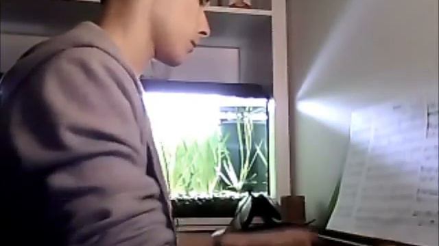 Apologize - Piano Cover by Dima B. смотреть онлайн