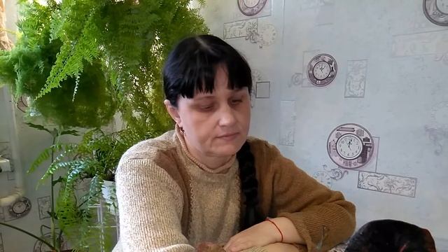 Видео отчет об укоренении Тайских кротонов ??? смотреть онлайн