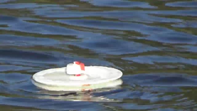 _Рыбалка 2020_ Кружки_ Эль классико-живец против хищника .Игра по правилам- покажут ли красную