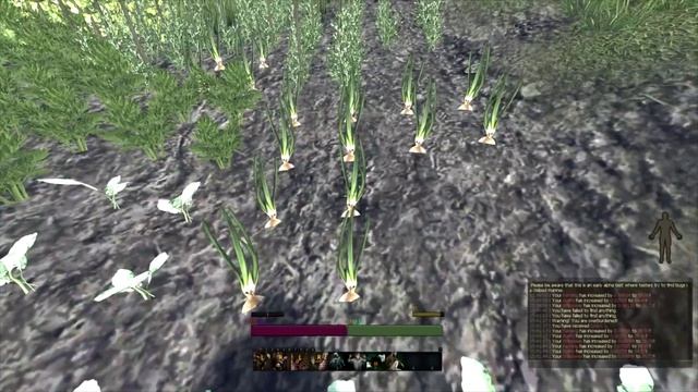 LiF: Life is Feudal - Farming Tutorial - Plow, Sow, Crop Cycle, Harvest, Recycle смотреть онлайн
