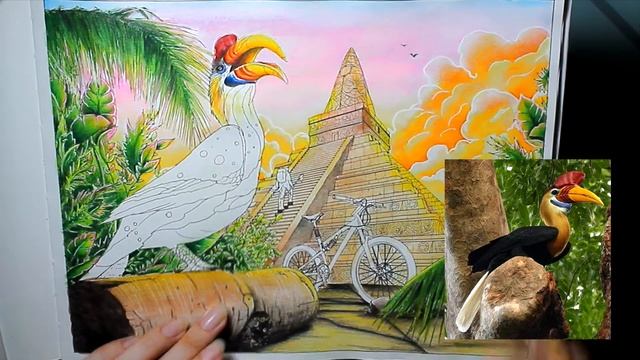 Птица-носорог. Часть 2 карандаши. смотреть онлайн