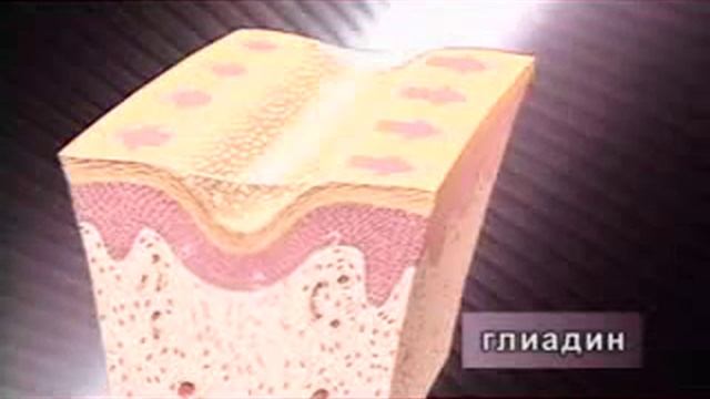 «Таймвайз» Средство от морщин направленного действия смотреть онлайн