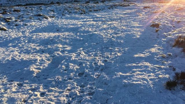 Winter wonderland in Scotland | Nature gave us the most beautiful present | Artists inspiration #11 смотреть онлайн