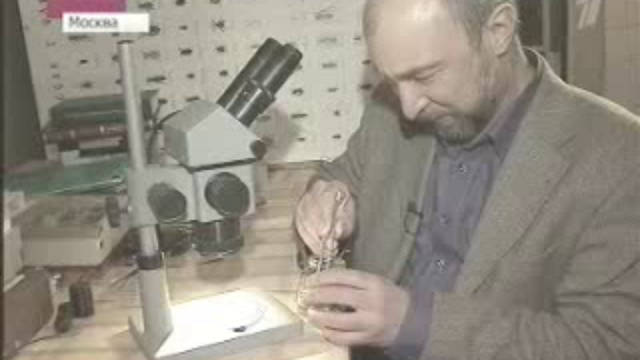 Жертвы знахарей смотреть онлайн
