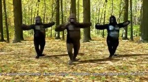 Цаган Сар танец