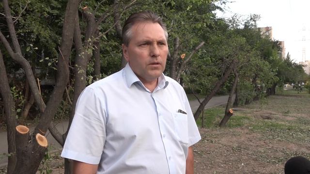 По вопросу незаконного спила деревьев в Советском районе возбуждено административное производство смотреть онлайн