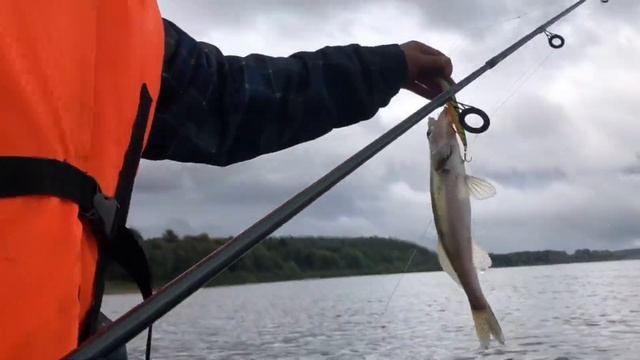 Совместная рыбалка с коллегами. Дневник рыболова. AngryFish Team. Троллинг. Река Вятка смотреть онлайн