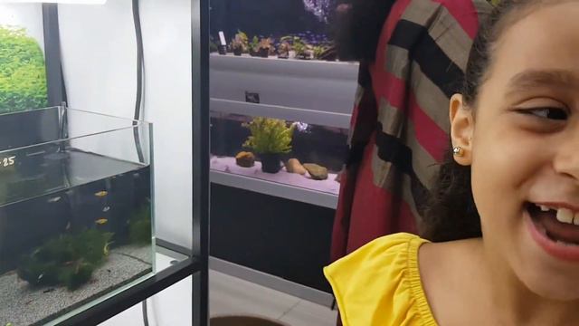 Aquarium For Kids Family Fun Activities For Children and Toddlers Kids | Exotic Fish | смотреть онлайн